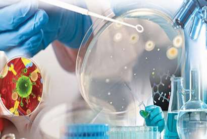 هسته های پژوهشی